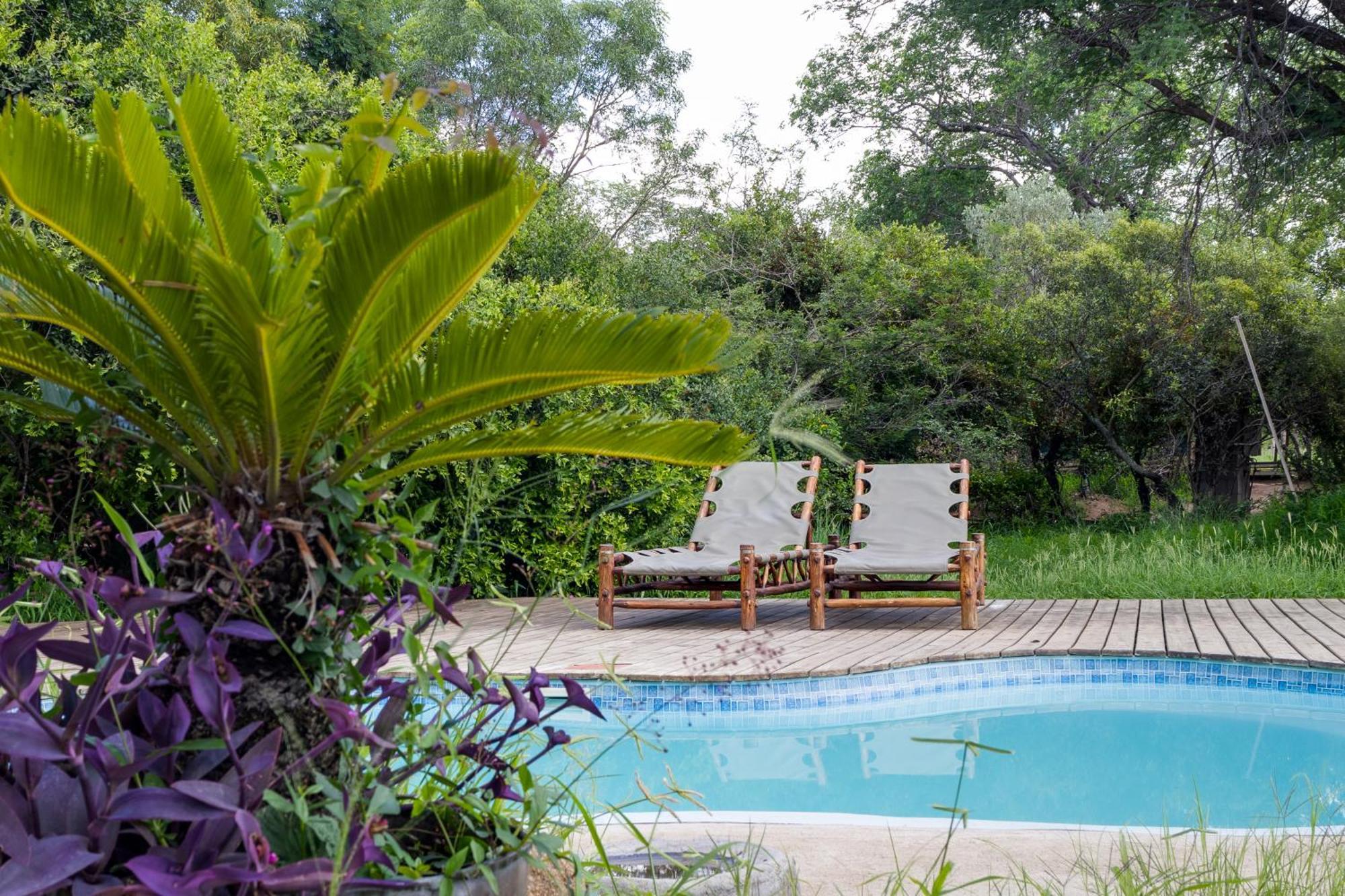 Tangala Safari Camp Villa Thornybush Game Reserve Exterior photo